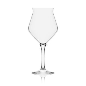 Teku 300 ml 420 ml - kieliszek degustacyjny do piwa